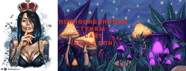 гидропоника Усинск