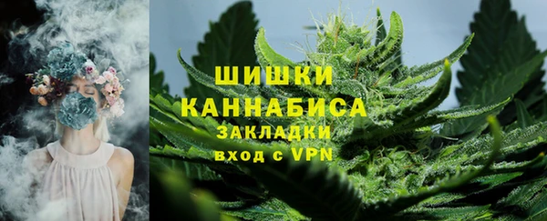 PSILOCYBIN Аркадак
