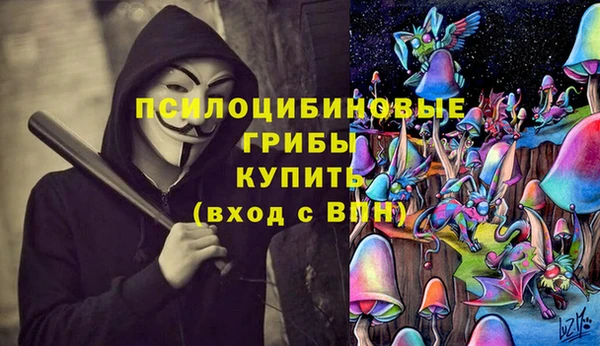 PSILOCYBIN Аркадак