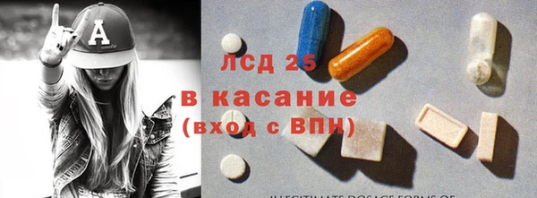PSILOCYBIN Аркадак